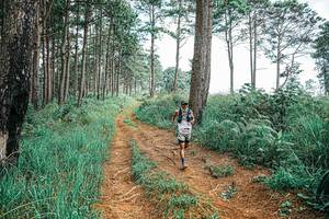 BIB: 
                            <button type="button" onclick="openModal(25693068)" class="btn btn-primary btn-sm float-right btn-popup" data-toggle="modal" data-target=".modal-high-quality">
                        <i class="fas fa-shopping-cart"></i> Add to Cart
                    </button>
                                            <button type="button" onclick="isThisMe(25693068, true)" class="btn btn-success btn-sm float-right btn-popup btn-isme hidden" data-toggle="tooltip" data-placement="bottom" title="นี่คือรูปของคุณใช่ไหม คลิกที่นี่เพื่อเอาเข้าอัลบั้ม">
                        <i class="fas fa-plus"></i> Add to album
                    </button>
                    <button type="button" onclick="isThisMe(25693068, false)" class="btn btn-warning btn-sm float-right btn-popup btn-isnotme hidden">
                        <i class="fas fa-ban"></i> Remove from album
                    </button>